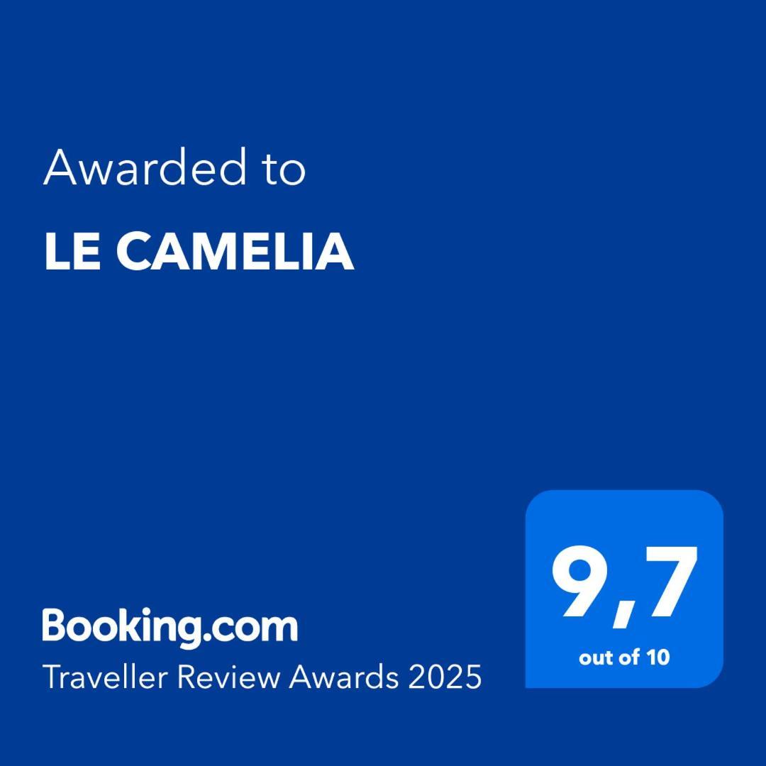 Saint-Viâtre Le Cameliaヴィラ エクステリア 写真